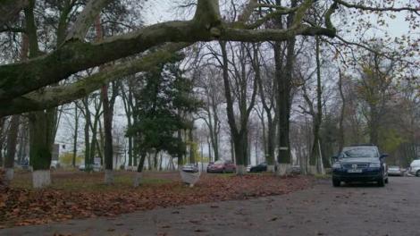 Stelian Manole și doamna Dana, atacați de ciori. Primarul Mangaliței vrea răzbunare