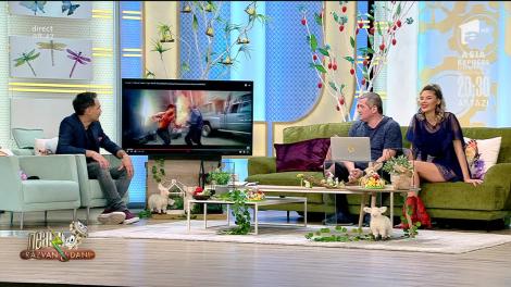 Cel mai tare film de acțiune din 2020 e făcut de indieni cu imaginație! Ce face eroul din Baaghi 3