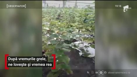 Vremea a schimbat foaia! A nins puternic la munte, iar ploile continuă până joi în mai multe zone din țară