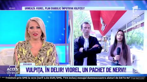 Melodia Vulpiței și a lui Rafaelo, "Doi îndrăgostiți lulea" a făcut ravagii în toate topurile. Se află pe locul I pe youtube România