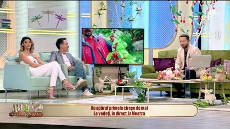 Au apărut primele cireșe de mai. Cât costă kilogramul