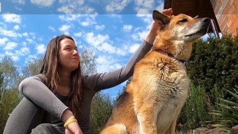 Câinii, cei mai buni prieteni în izolare