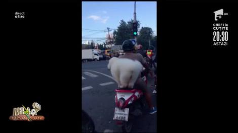 Smiley News. Cățelușul motociclist merge cu stăpânul oriunde