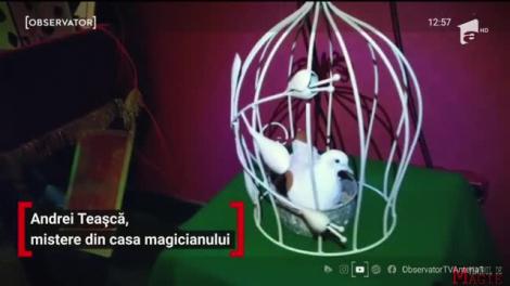 Magicianul Andrei Teaşcă face un serial fantasy online
