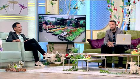 Când se deschid parcurile! Viceprimarul Sectorului 2 a făcut anunțul momentului