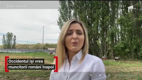 Muncitorii români, salvarea agriculturii europene
