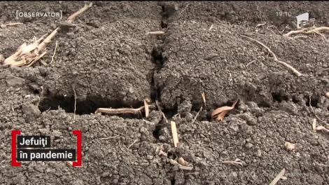 Virusul umflă preţurile în magazine. Cele mai căutate produse s-au scumpit chiar şi cu 130 la sută