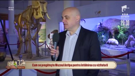 Cum se pregătește Muzeul Antipa pentru întâlnirea cu vizitatorii