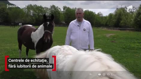 Centrele de echitație, fără iubitorii de animale