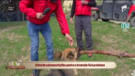 Sfaturile salvamontiștilor pentru o drumeție fără probleme