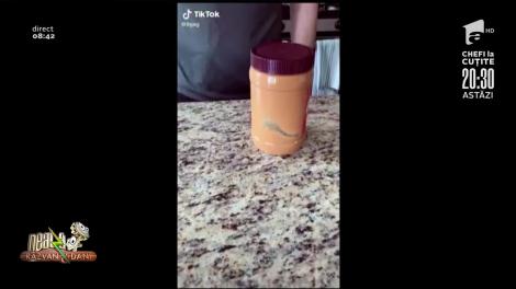 Smiley News: Cum să tăi unghiile câinelui tău acasă