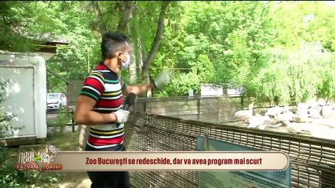 Se redeschide Grădina Zoologică din București. Regulile pe care trebuie să le respecți ca să o poți vizita