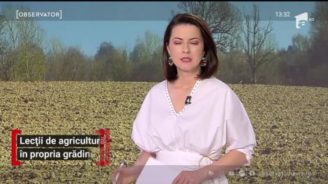 Lecții de agricultură, în propria grădină
