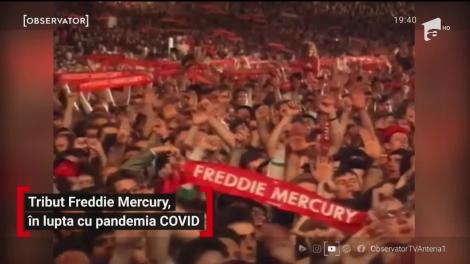 Tribut Freddie Mercury, în lupta cu pandemia Covid