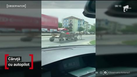 Nu ești șmecher dacă n-ai căruță cu pilot automat! Imagini senzaționale, în Deva: Un căruţaş a fost surprins adormit la hăţuri