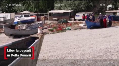 Liber la pescuit în Delta Dunării
