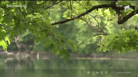 Sovata, o staţiune cu tradiţie pregătită pentru primii turiști