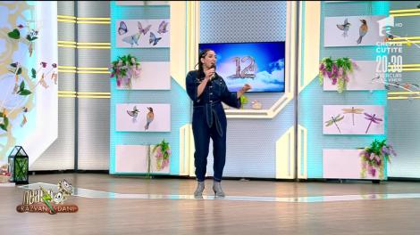Nico cântă melodia Scopul și durata, la Neatza cu Răzvan și Dani