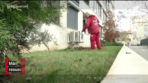 Măsuri pentru resuscitarea economiei