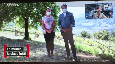 Nu o să-ți vină să crezi! Tratament VIP și salariu impresionant pentru opt românce care lucrează la o fermă viticolă în Italia. Ca în Germania? Nici gând!