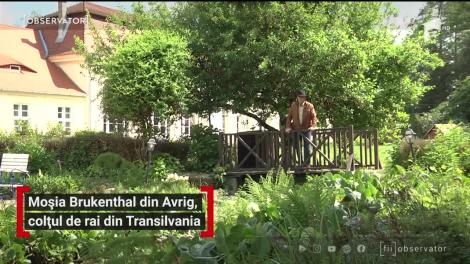 Moșia Brukenthal din Avrig, colțul de rai din Transilvania