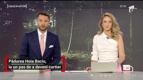 Pădurea Hoia Baciu din Cluj, la un pas de a deveni cartier