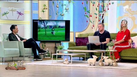 Joaca de-a udatul! Un cățel își aleargă stăpânul ca să-l stropească cu un furtun cu apă! Te prăpădești de râs! |Video