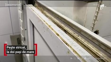 Litoralul ne aşteaptă cu peşte stricat