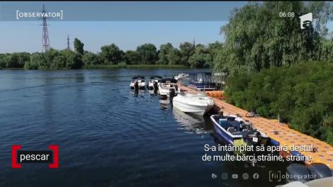 La un an şi două luni de când în Delta Dunării au fost descoperite peste opt sute de kilograne de cocaină, dosarul este ţinut departe de ochii lumii