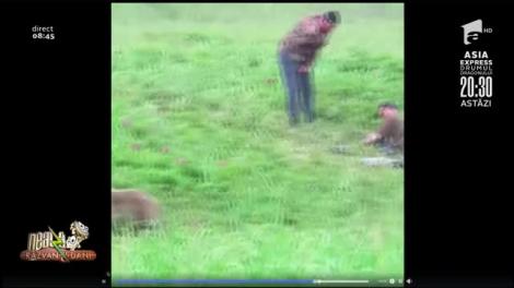 Smiley News: Cum s-au comportat cățeii în perioada de pandemie