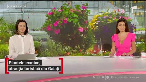 Plantele exotice, atracția turistică din Galați