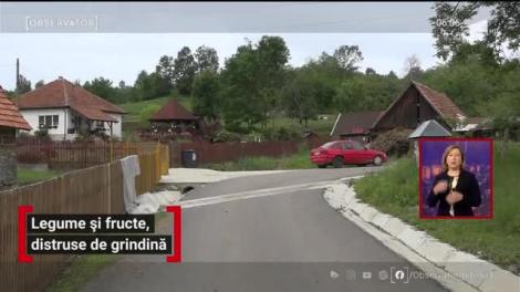 Legume și fructe, distruse de grindină. Oamenii se tem că nu au ce să mai pună pe masă