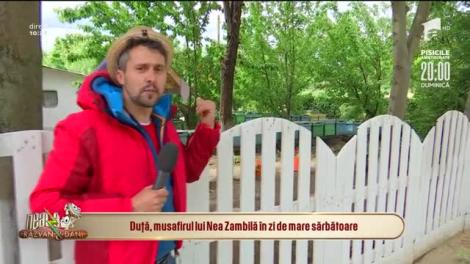 Nea Zambilă, gazda ideală. Ce ascunde în livadă