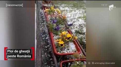 Ploi de gheață peste România. Agricultorii din toată ţara au ajuns în pragul disperării
