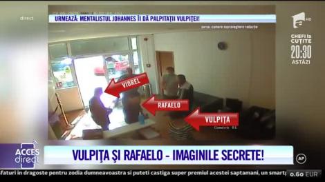 Adevărul gol-goluț! Camerele de supraveghere nu mint Ce s-a întâmplat, cu adevărat, între Vulpița și Rafaelo! |Video