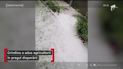 Căderile de grindină s-au ţinut lanţ în toată ţara