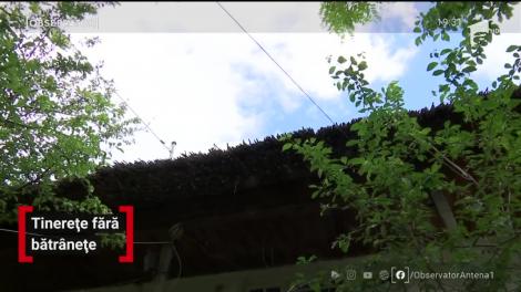 Lenuţa Tăune, o bătrână de 88 de ani, din judeţul Galaţi, îşi dedică timpul culegerii şi conservării folclorului