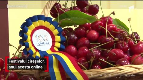 Festivalul cireșelor din comuna prahoveană Păuleşti se sărbătorește online