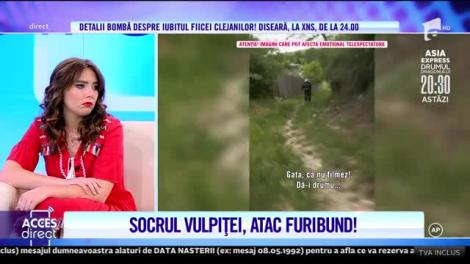 Revedere cu scandal în casa Stegaru! Vio și Vulpița, alungați cu pietre din Blăgeșți! |Video