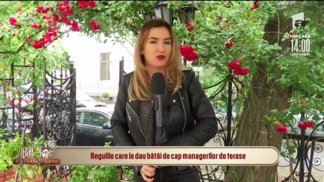 Echipa Neatza face turul teraselor după marea redeschidere. Ce reguli le dau bătăi de cap managerilor