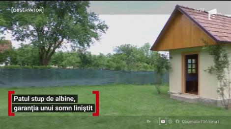 Patul stup de albine, garanția unui somn liniștit