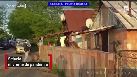 Bărbați din Maramureș, acuzați că au bătut și exploatat ca sclavi mai multe persoane. Victimele erau înfometate și încuiate în condiții inumane