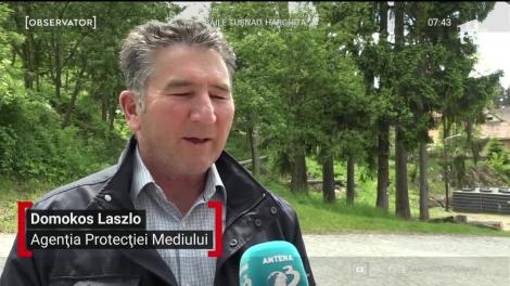 Şi animalele au nevoie de salvare. Iar echipajele de intervenţie se mobilizează cu acelaşi devotament