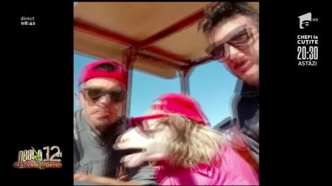 Smiley News: Conversație între o oaie și doi italieni