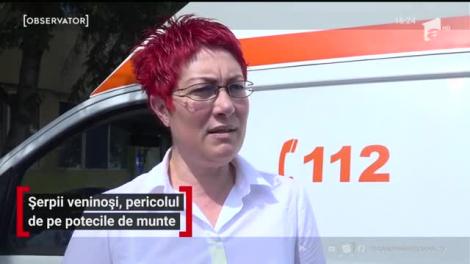 Șerpii veninoși, pericolul de pe potecile de munte