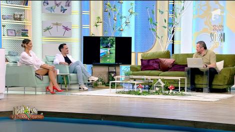 Smiley News: Cum să-ți înveți rața să zboare