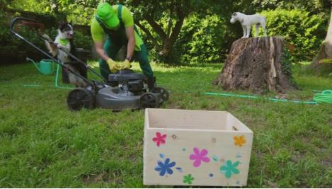 Grădinarul și cățeii veseli. Adrian Stoica, număr de dresaj impresionant