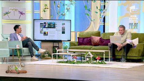 Smiley News: Bărbatul lăsat inconștient de un butoi de varză și românii care au topit statui de bronz din Bruges