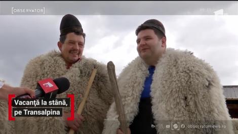 Vacanță la stână, pe Transalpina