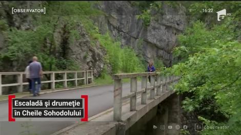 Escaladă și drumeție în Cheile Sohodolului